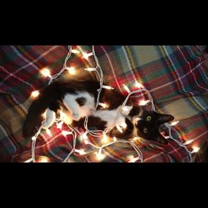 Meet your Posher, Allyson